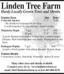 Hardy Locally Grown Trees and Shrubs