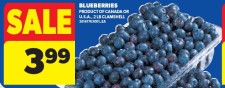 BLUEBERRIES at Real Canadian Superstore